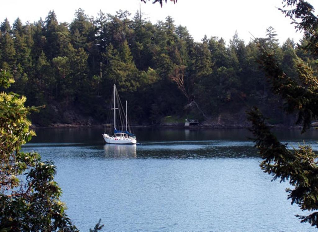 Arbutus Point Oceanfront B And B Long Harbour Δωμάτιο φωτογραφία